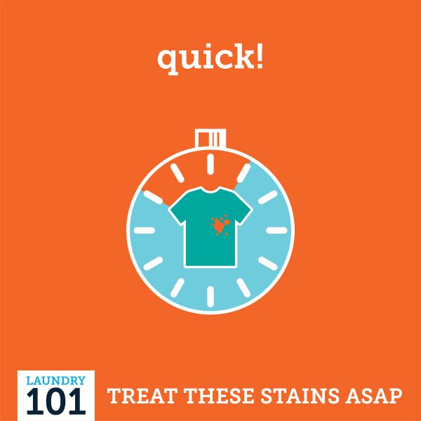 Laundry Basics True Or False About Treating Tough Stains Clean Happy Nest